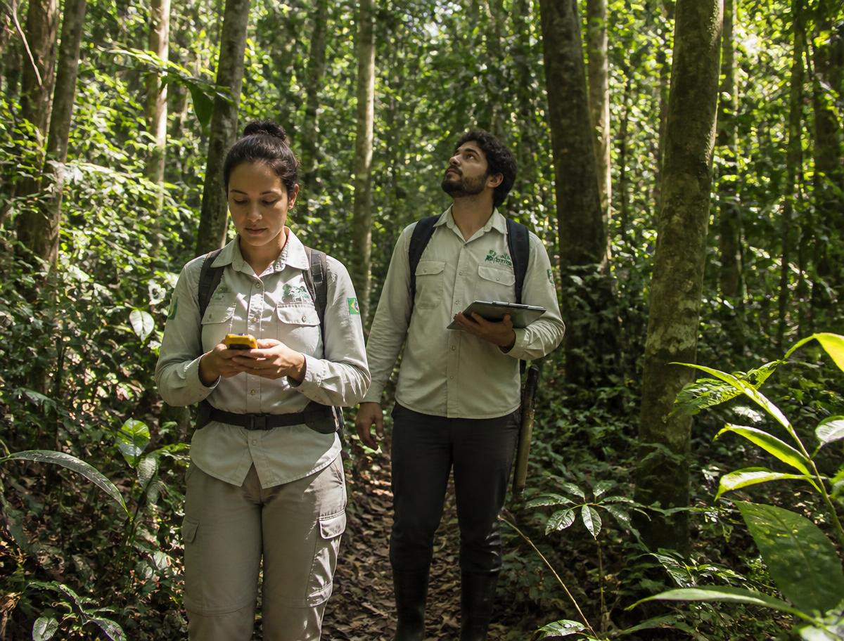 Consultoria Ambiental